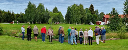 Hörnefors trädgårdssällskap